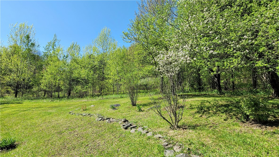 534 Lower Fairfield Road, Candor, New York image 44