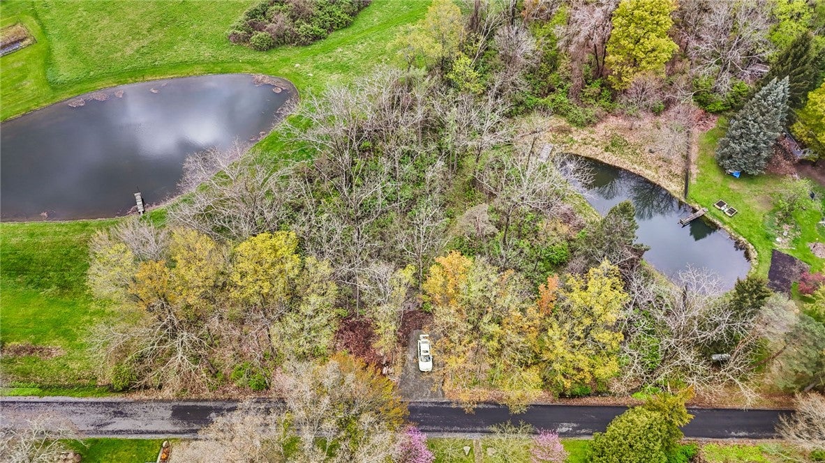 Savercool Road