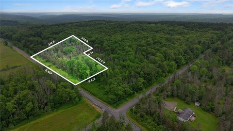 00 South Road, Lot C Brooktondale NY 14817