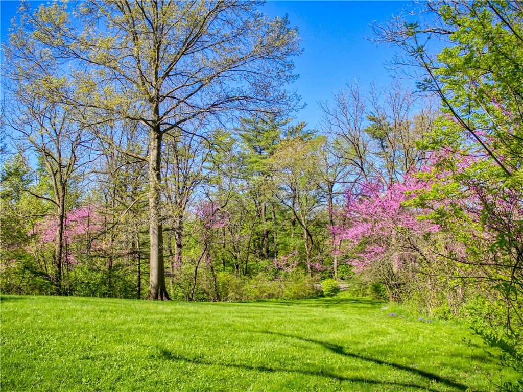 Cayuga Park Road, Ithaca, New York image 9