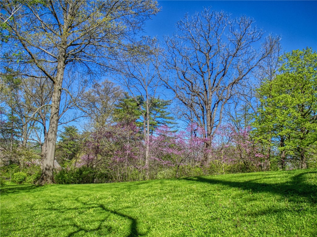 Cayuga Park Road, Ithaca, New York image 8