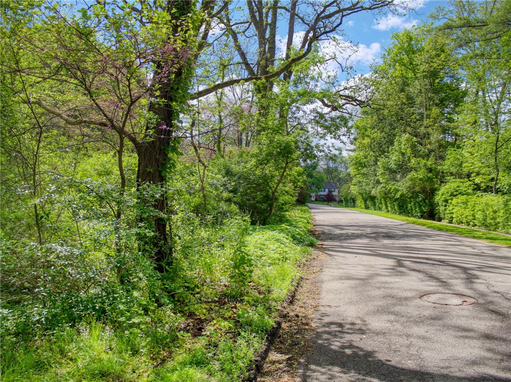 Cayuga Park Road, Ithaca, New York image 1