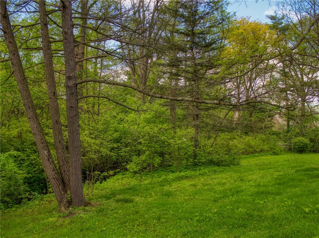 Cayuga Park Road, Ithaca, New York image 2