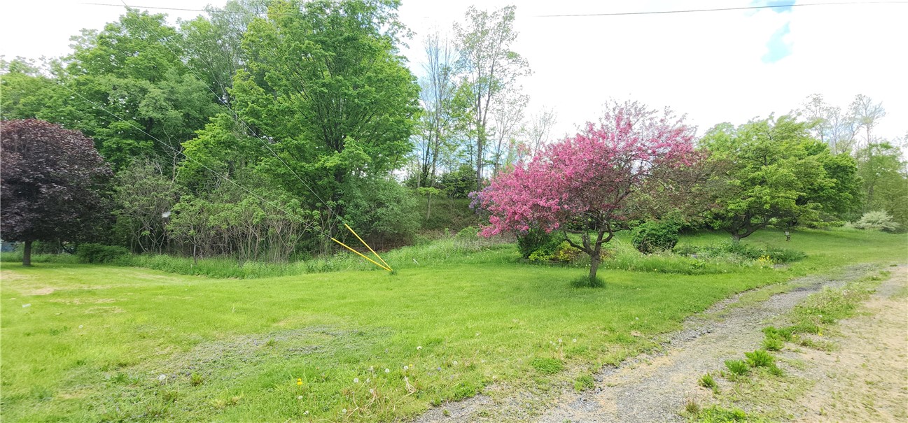 656 Candor Rd Rd, Spencer, New York image 33
