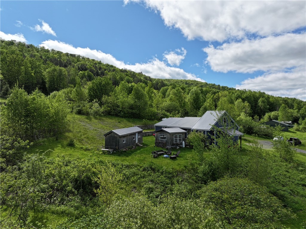 556 Dryden-harford Road, Dryden, New York image 19