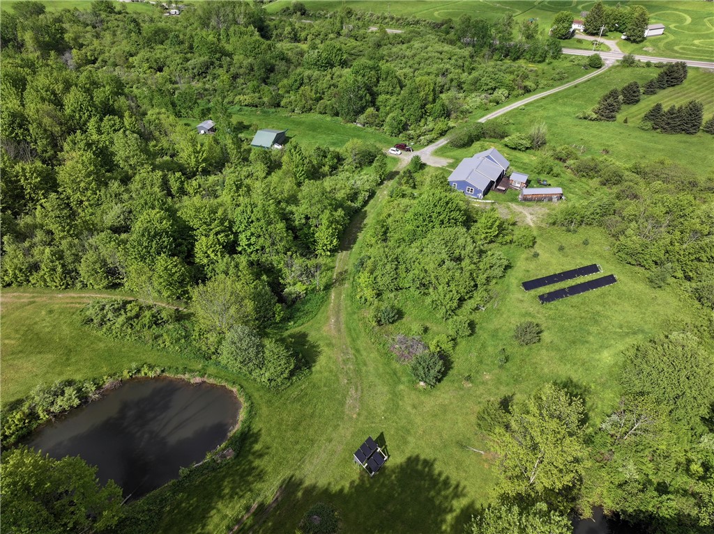 556 Dryden-harford Road, Dryden, New York image 38