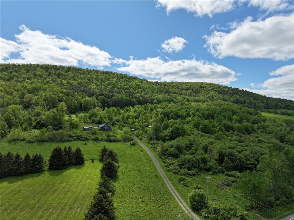 556 Dryden-harford Road, Dryden, New York image 46