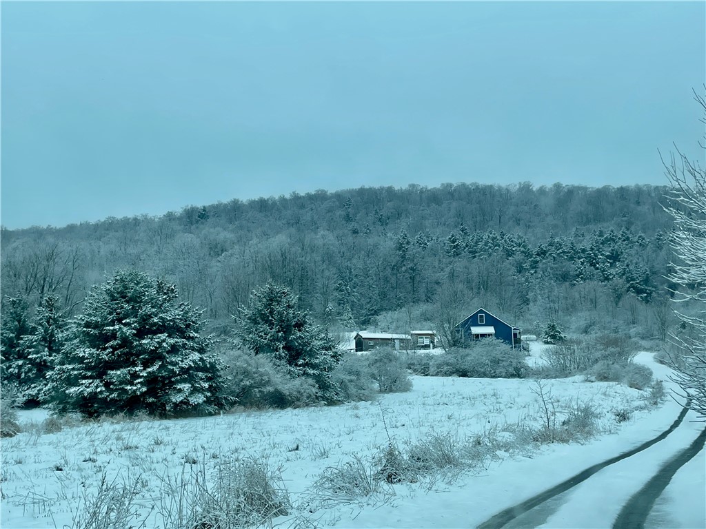 556 Dryden-harford Road, Dryden, New York image 44