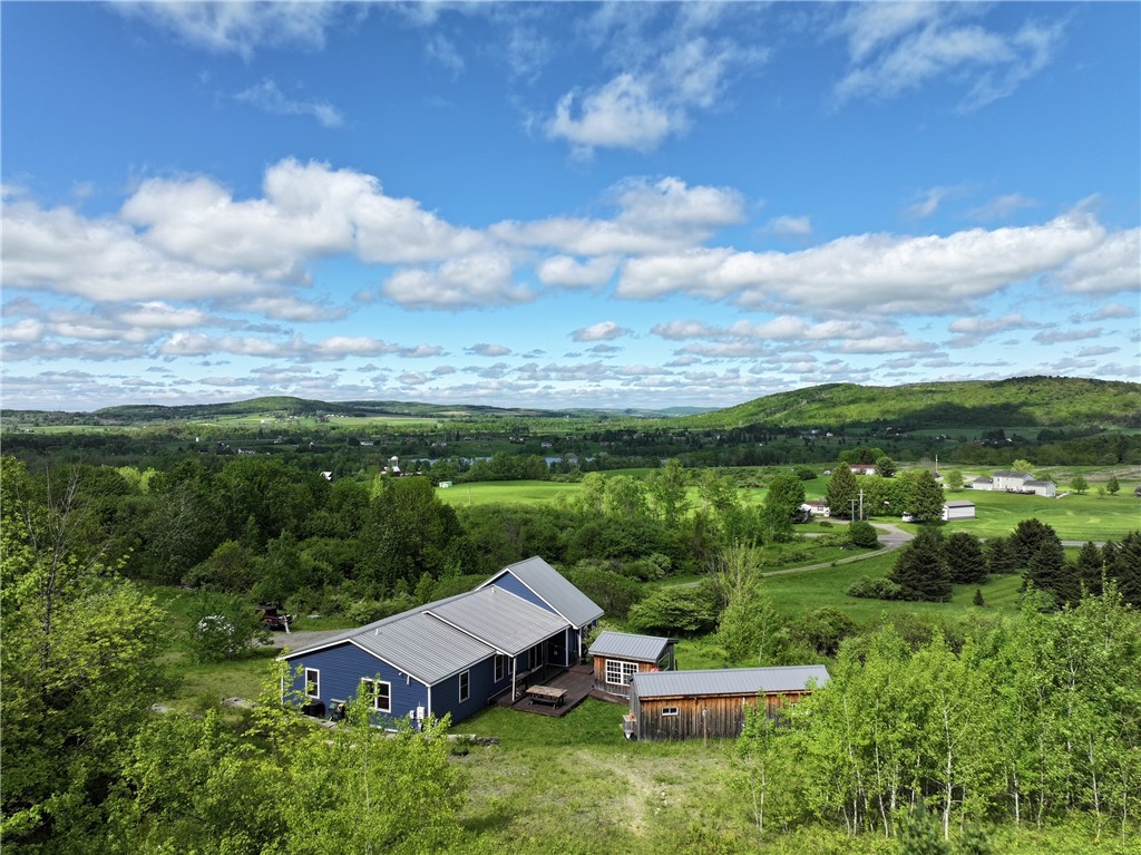 556 Dryden-harford Road, Dryden, New York image 1