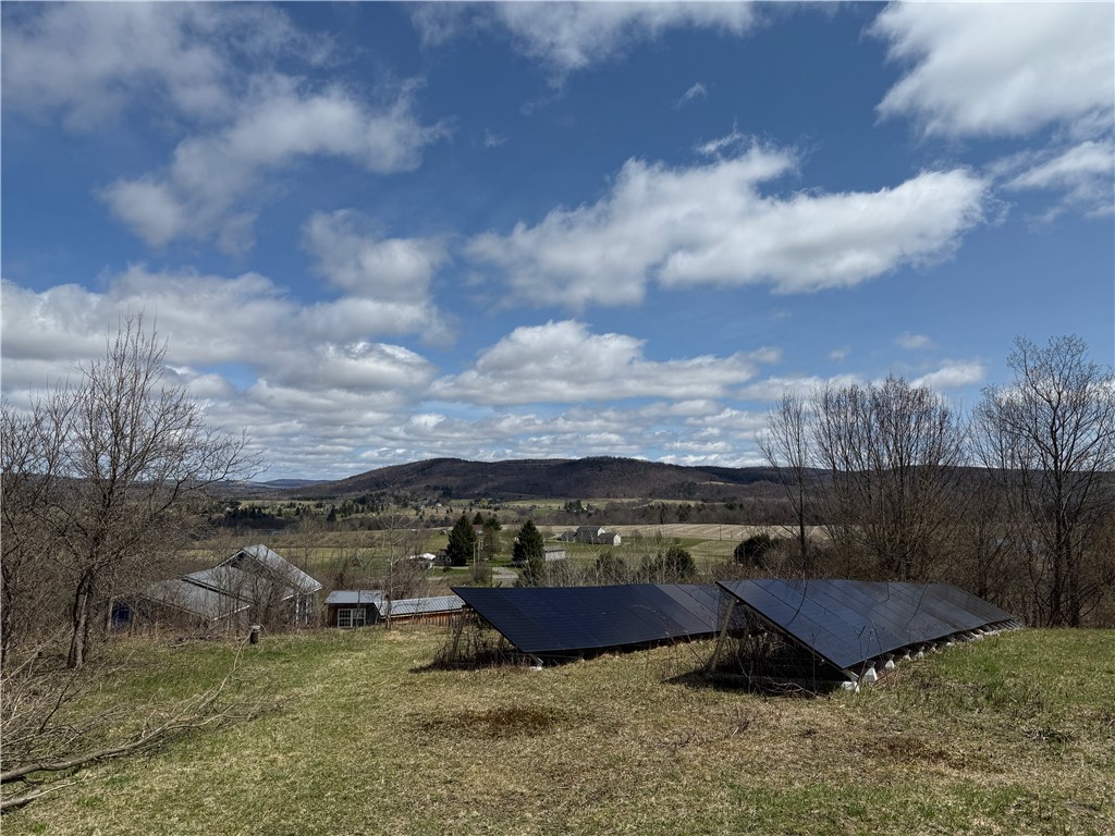 556 Dryden-harford Road, Dryden, New York image 21