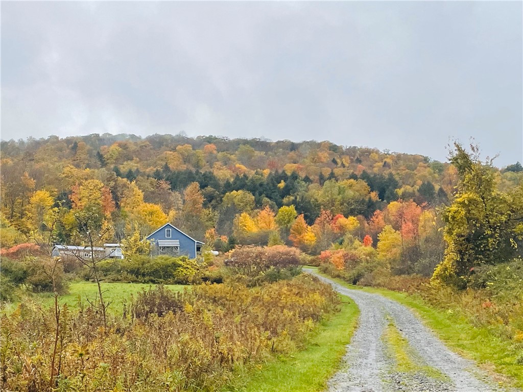 556 Dryden-harford Road, Dryden, New York image 2