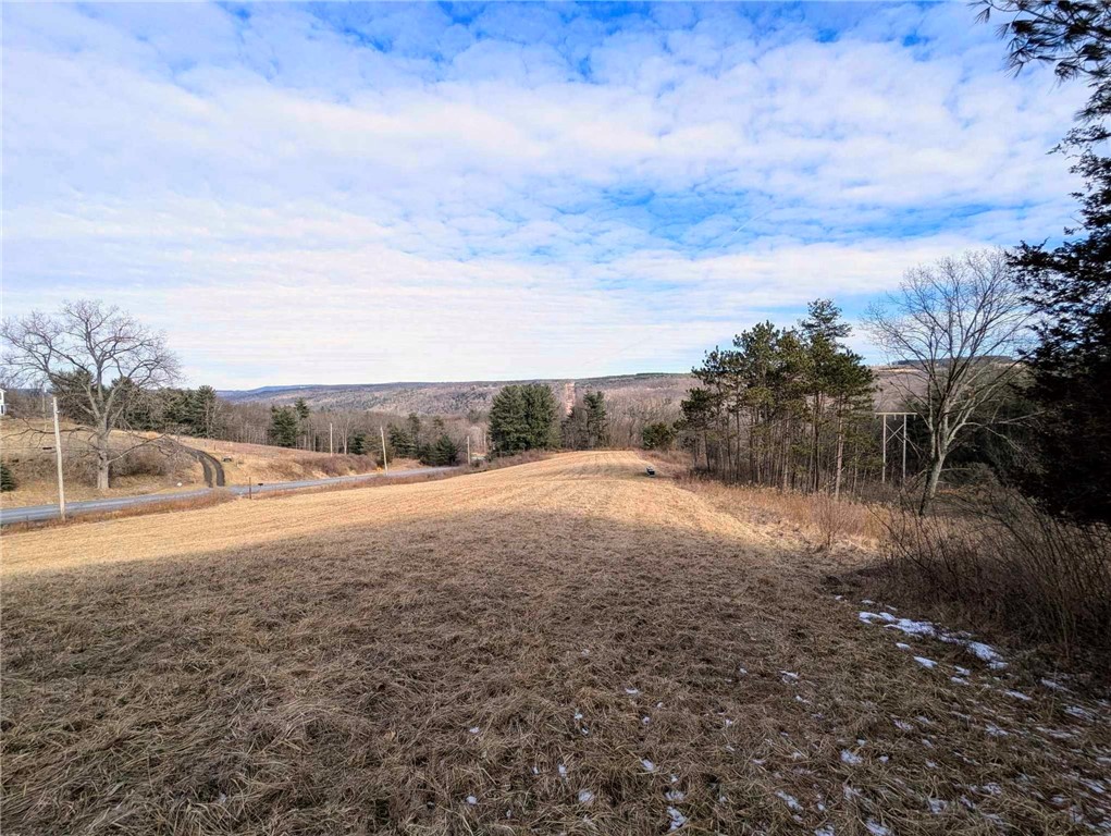 Millard Hill Road, Newfield, New York image 7
