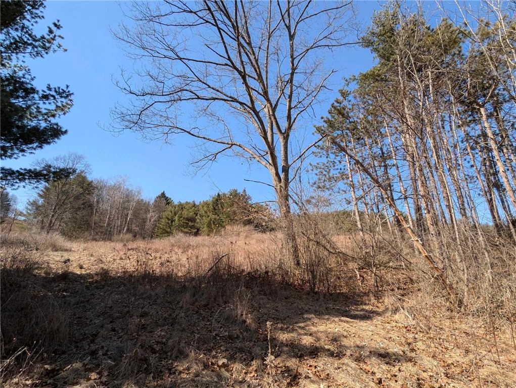 Millard Hill Road, Newfield, New York image 5
