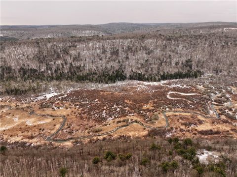 00 Halsey Valley Rd Spencer NY 14883