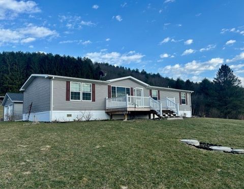 Mobile Home For Sale - 101 Reservoir Hill Road<br/> Tioga County, Candor, NY 13743