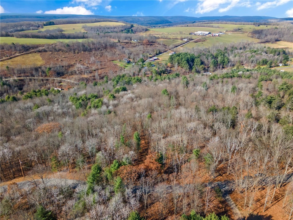 Honeypot Road, Candor, New York image 10