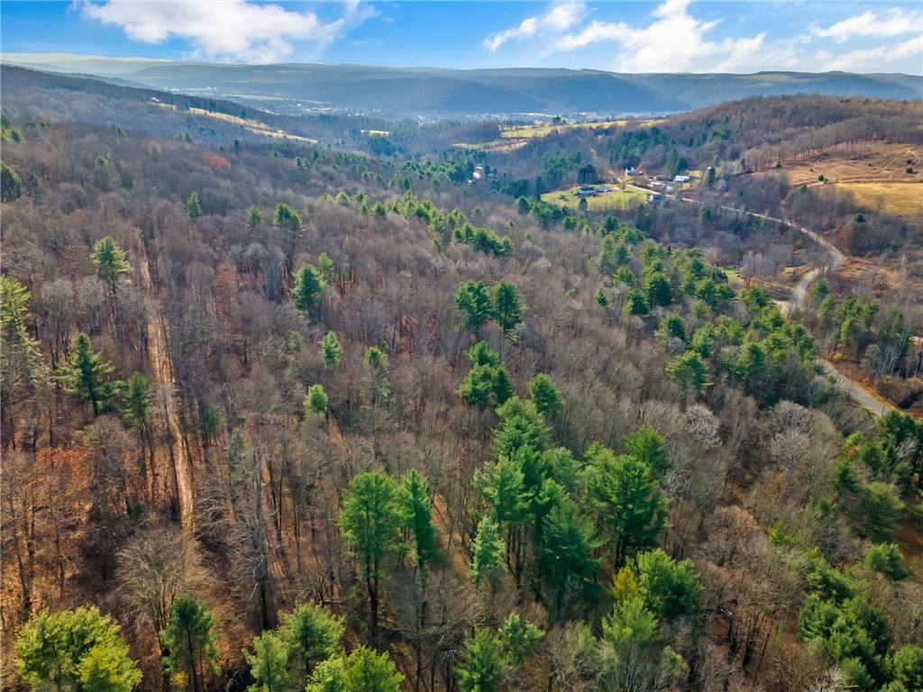 Honeypot Road, Candor, New York image 15