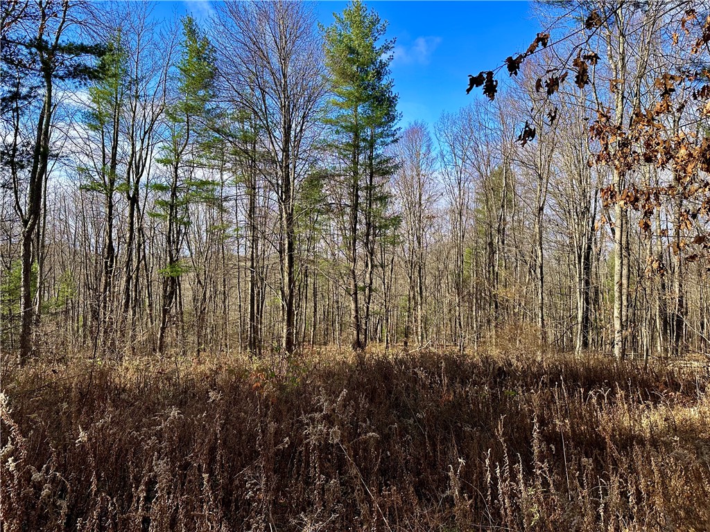 Honeypot Road, Candor, New York image 1