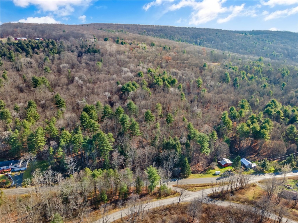 Honeypot Road, Candor, New York image 8