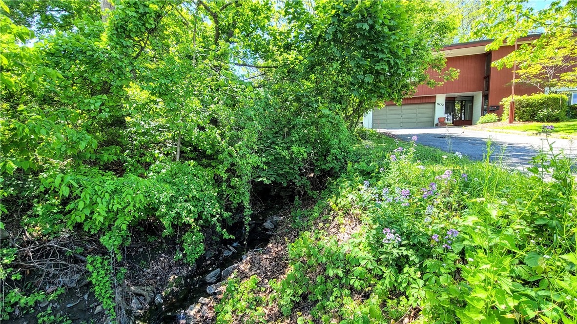 802 Hector Street, Ithaca, New York image 5