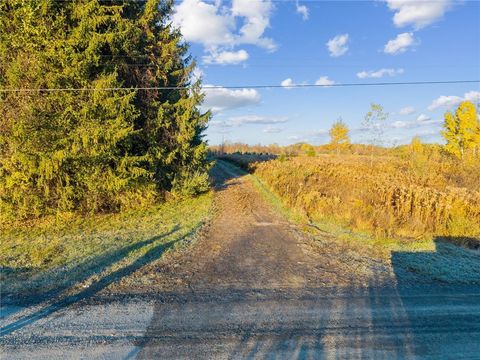 0 Cook Road Trumansburg NY 14886