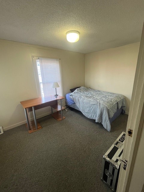 513 S Aurora Street, Ithaca, New York image 25
