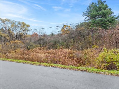 0 Seneca Road Trumansburg NY 14886