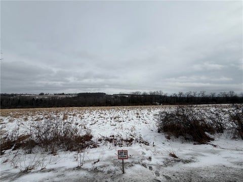Photo for Tucker Road