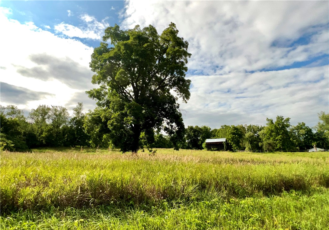 114 Enfield Falls, Parcel #1