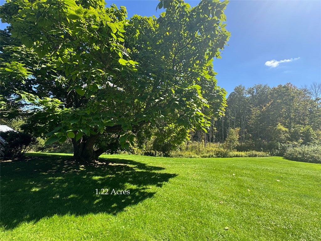 39 Bald Hill Road