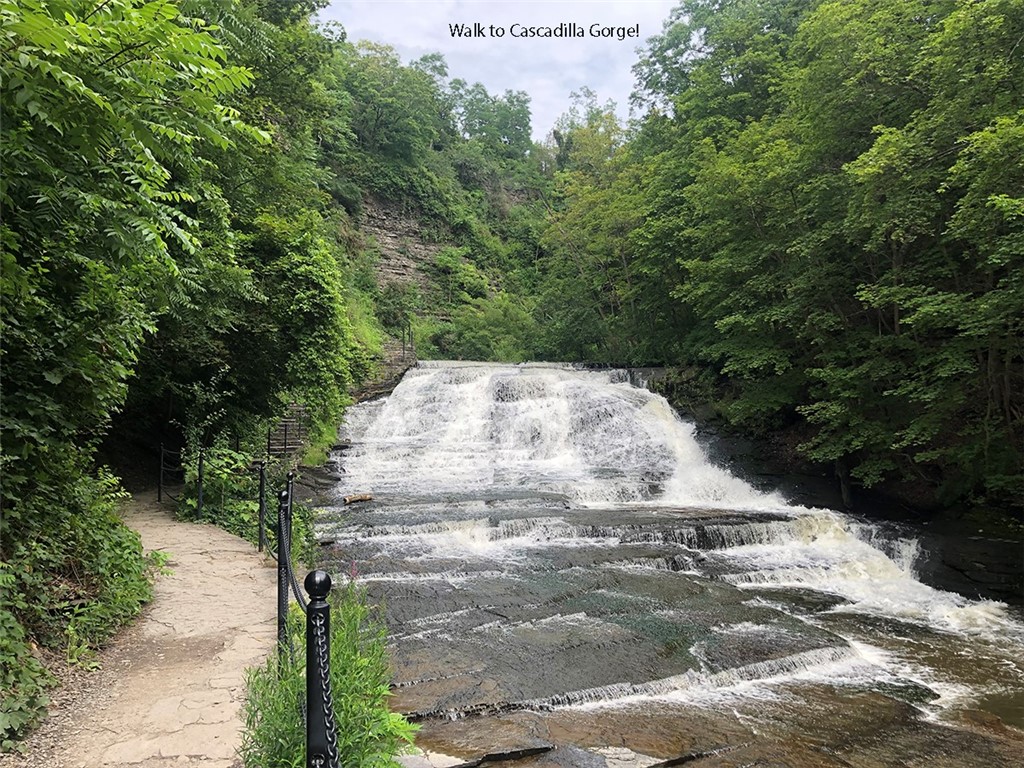 109 W York Street, Ithaca, New York image 39
