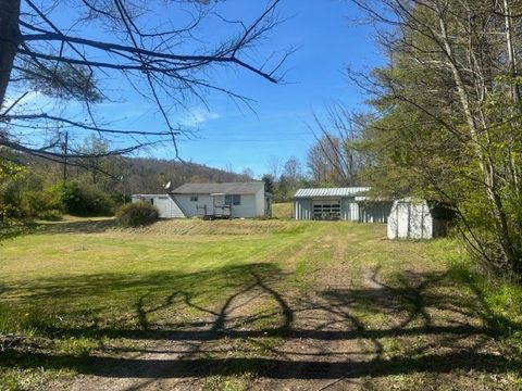 Mobile Home For Sale - 196 Slate Road<br/> Tioga County, Candor, NY 13743