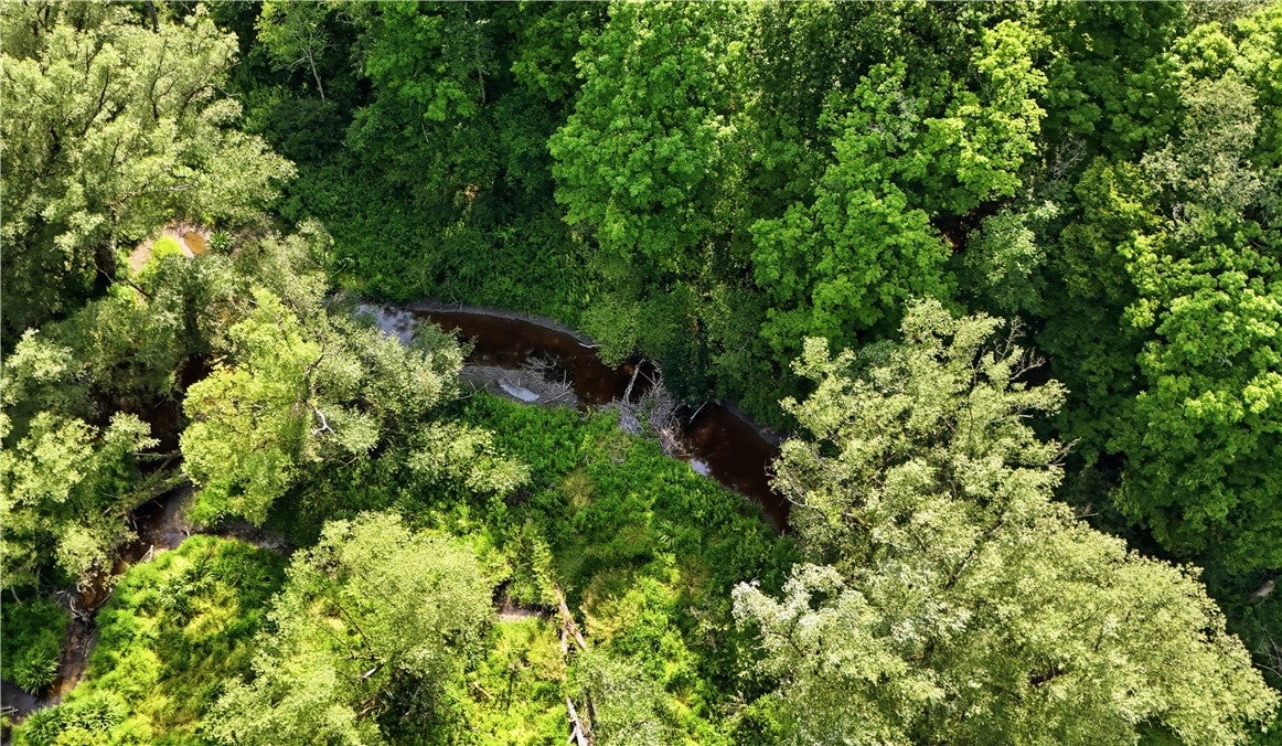 189 Michigan Hollow Road