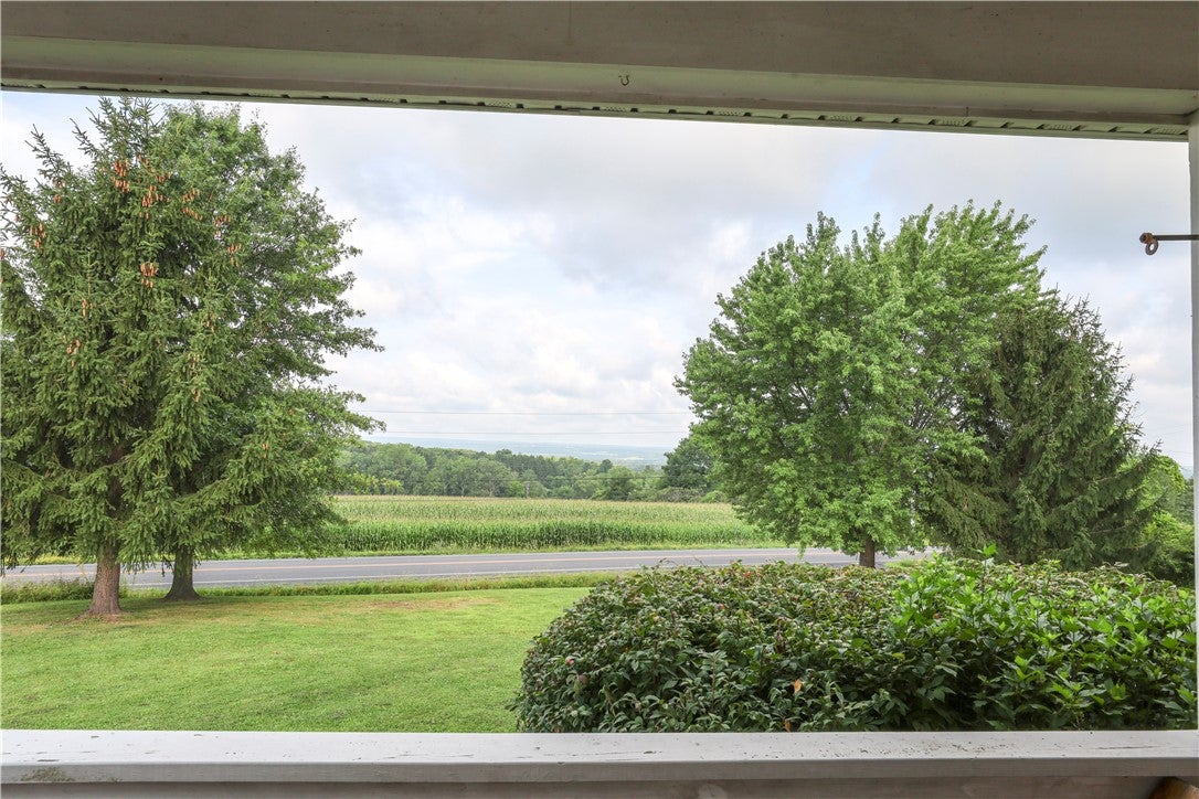 4038 Halseyville Road