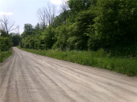 Vacant Land For Sale - 00 Gridleyville Road<br/> Spencer, NY 14883