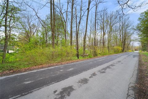 0 Camp Street Trumansburg NY 14886