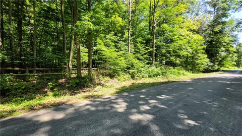 Vacant Land For Sale - Morris Road<br/> Dryden, NY 13068