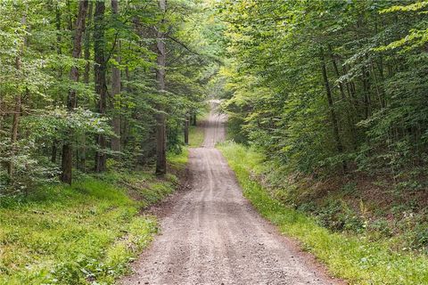 Vacant Land For Sale - Chaffee Creek Road<br/> Newfield, NY 14867