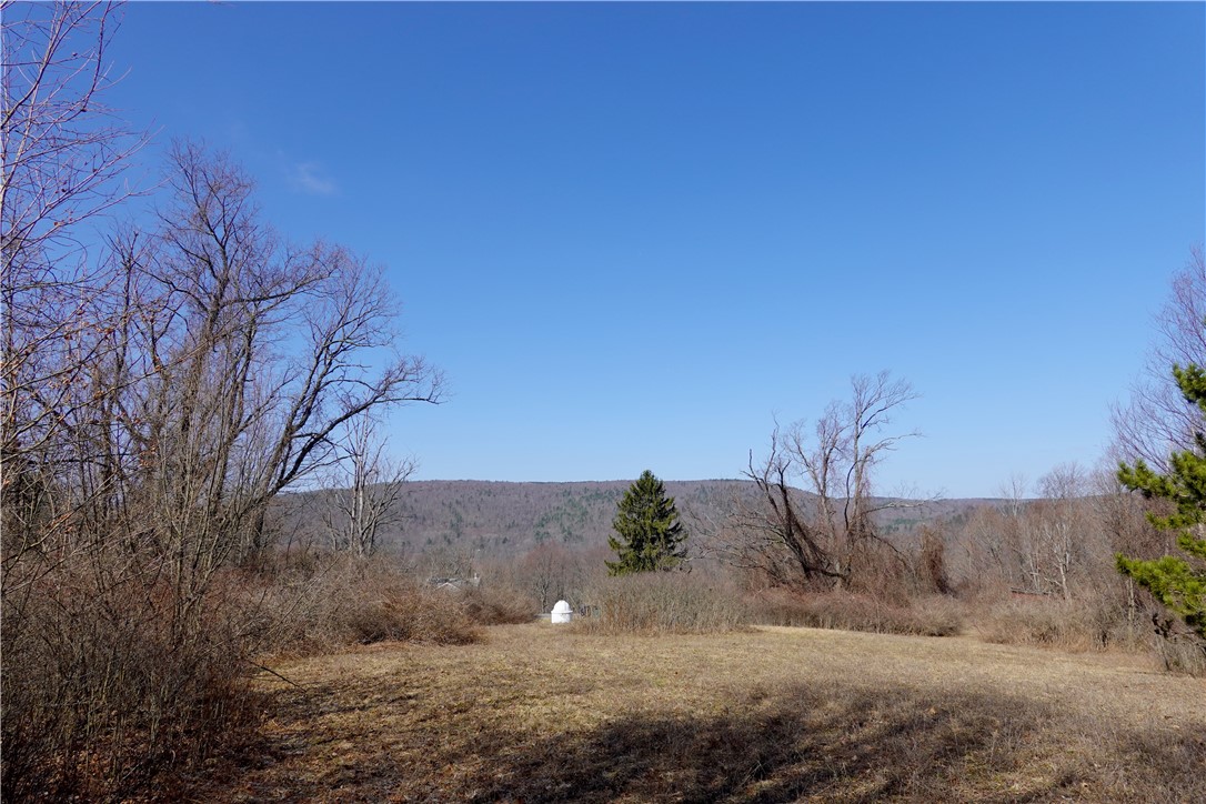 85 Starks Road, Newfield, New York image 45