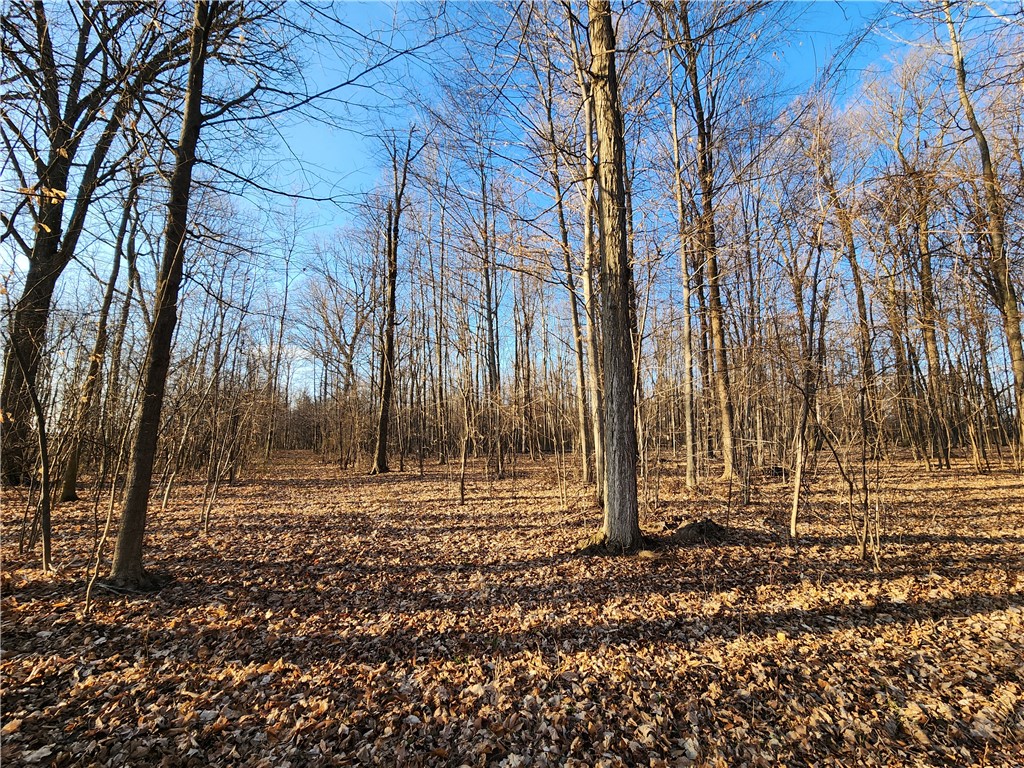 Near 134 Fenner Road, Lansing, New York image 6