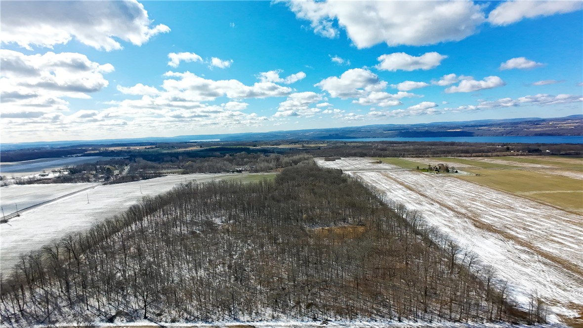 Near 134 Fenner Road, Lansing, New York image 12