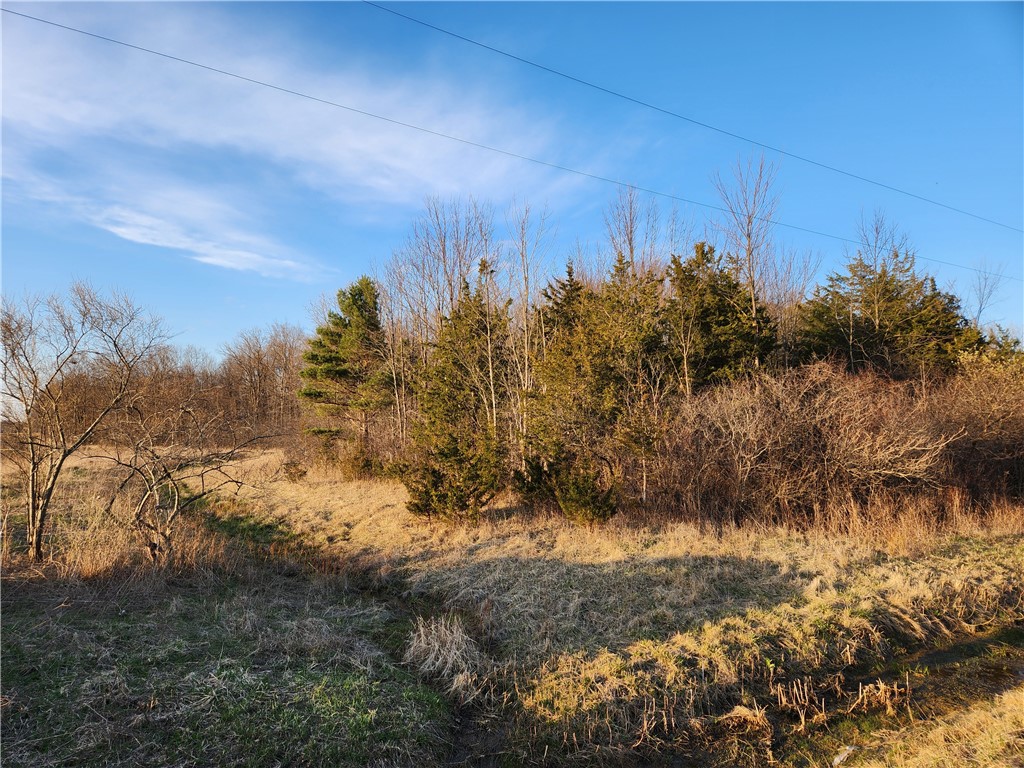 Near 134 Fenner Road, Lansing, New York image 3