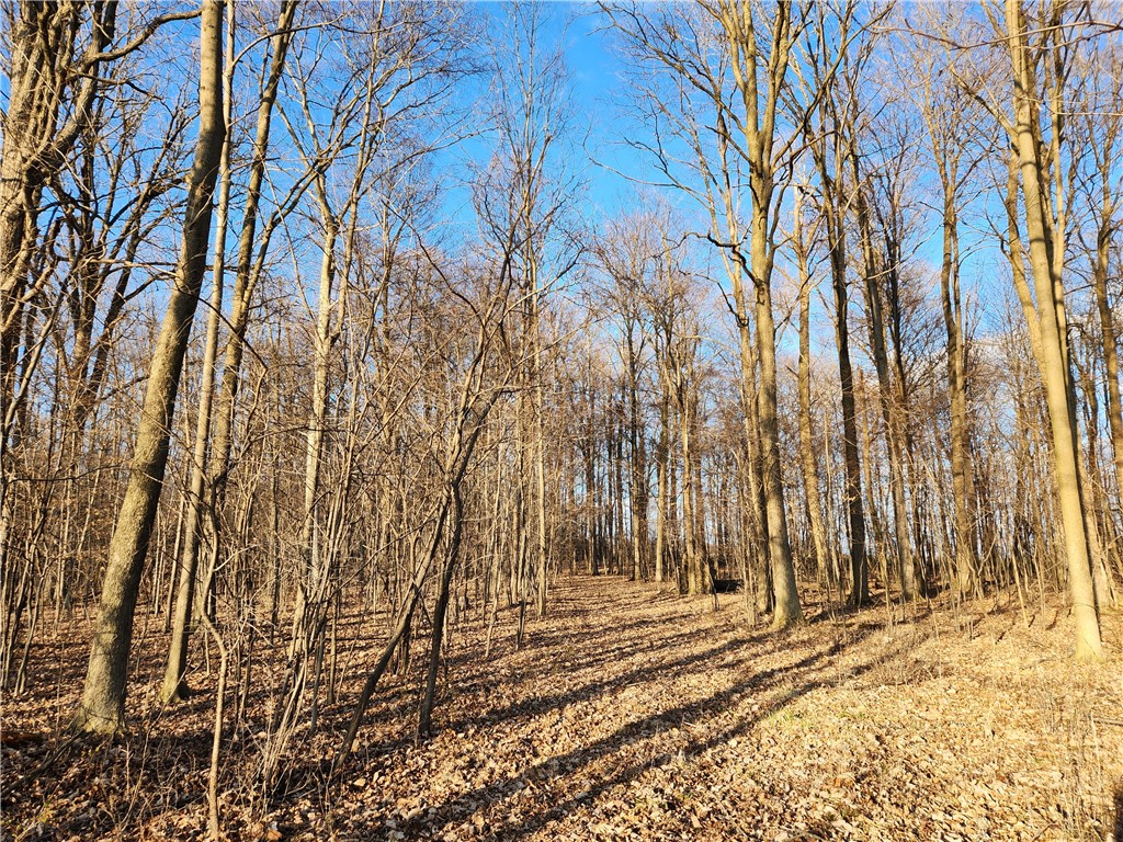 Near 134 Fenner Road, Lansing, New York image 5
