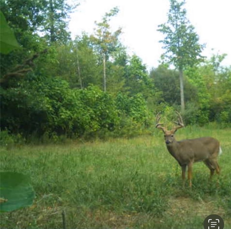 Near 134 Fenner Road, Lansing, New York image 9