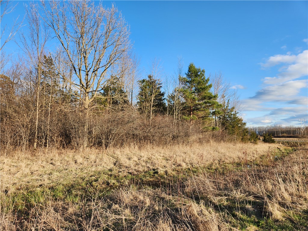 Near 134 Fenner Road, Lansing, New York image 4