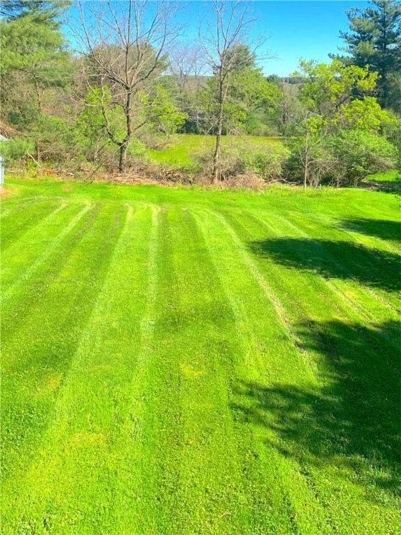 22 Goodrich Way, Dryden, New York image 35