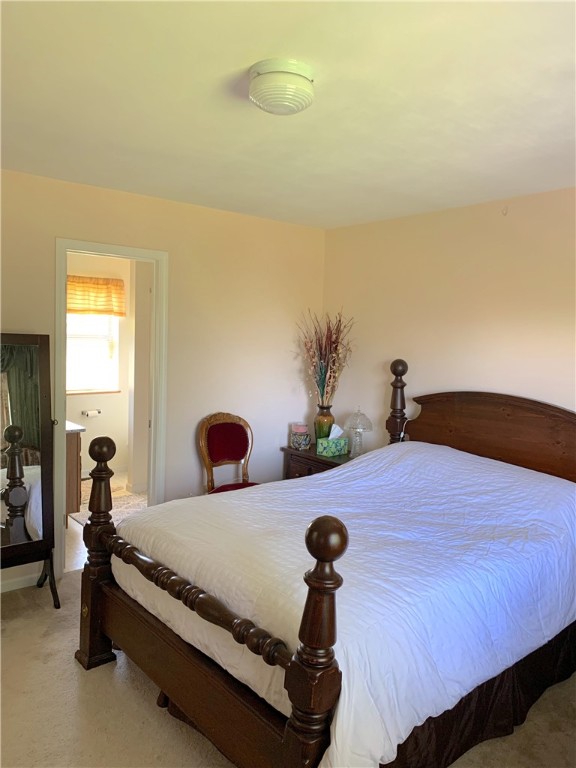 22 Goodrich Way, Dryden, New York image 26
