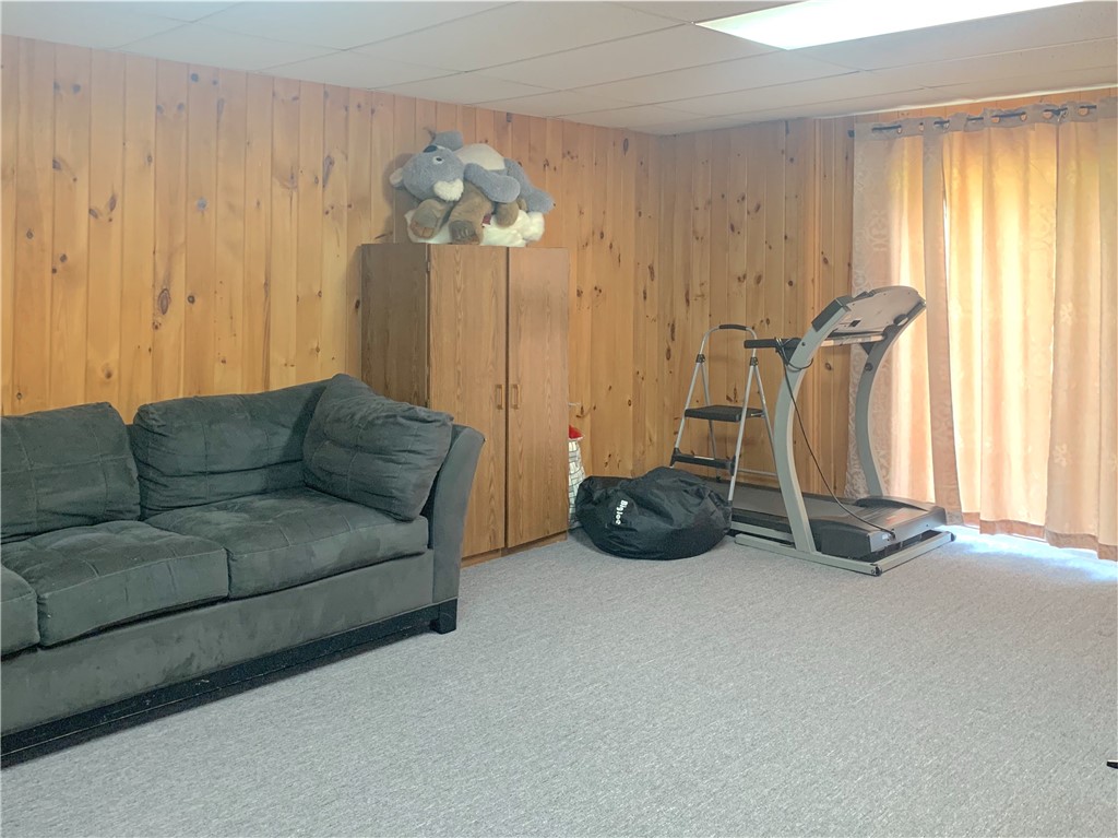 22 Goodrich Way, Dryden, New York image 28