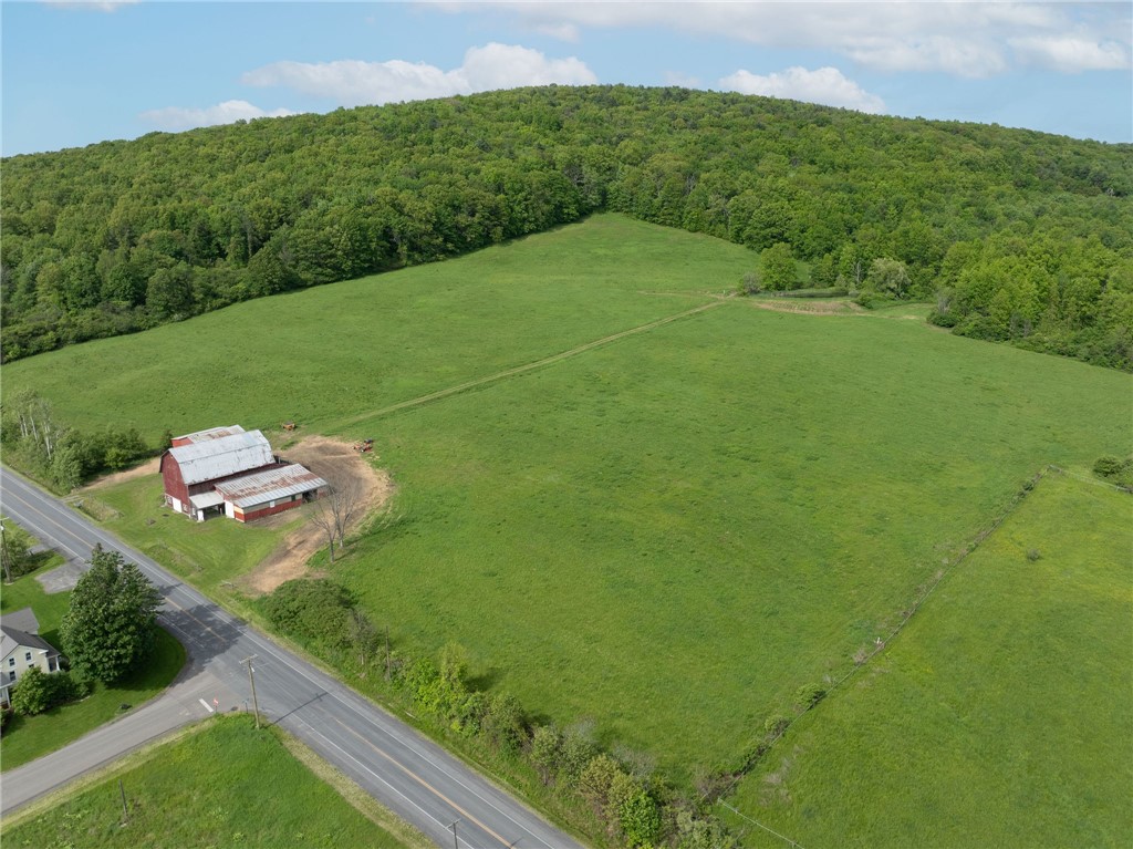 Turkey Hill Road, Dryden, New York image 9
