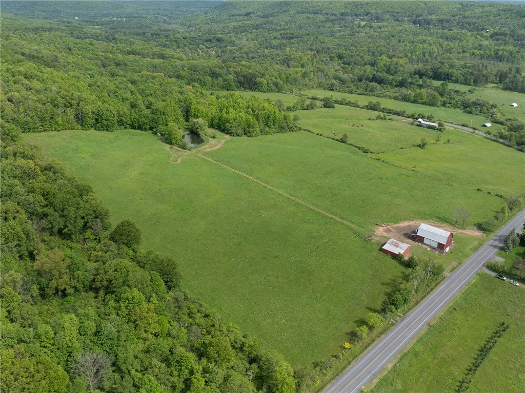 Turkey Hill Road, Dryden, New York image 11